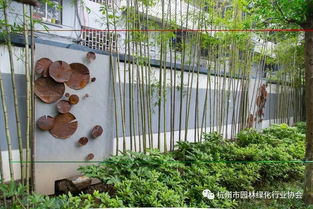 2017年度杭州市優秀園林綠化工程道路組金獎 莫干山路綜合整治景觀工程
