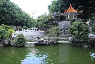開心廣場,百姓舞臺 增彩大公園擴展小公園