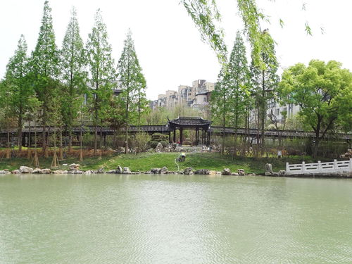 親水平臺 仿古建筑 古運河東岸 上新 嘍