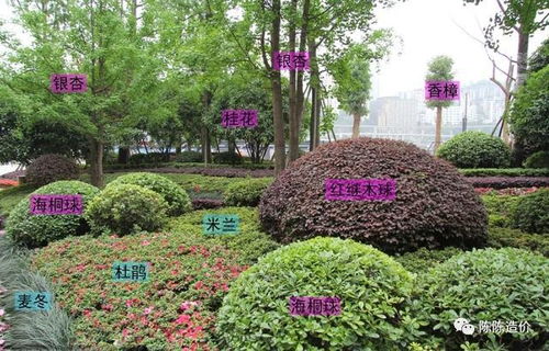 綠化養護期到底從哪開始計 結算審計