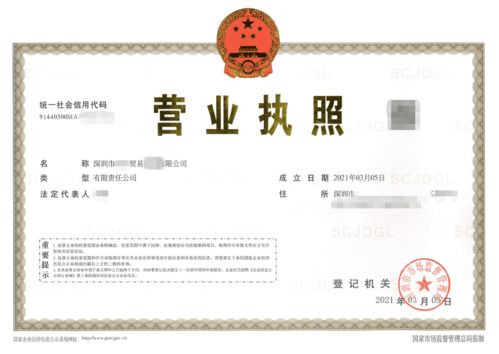 深圳食品貿(mào)易公司注冊,在龍崗區(qū)核心要解決無地址這一問題