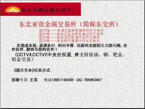 你好,請問我要是代理現(xiàn)貨交易平臺(tái),開戶的話,應(yīng)該注冊什么類型的公司比較好 經(jīng)營范圍是什么呢